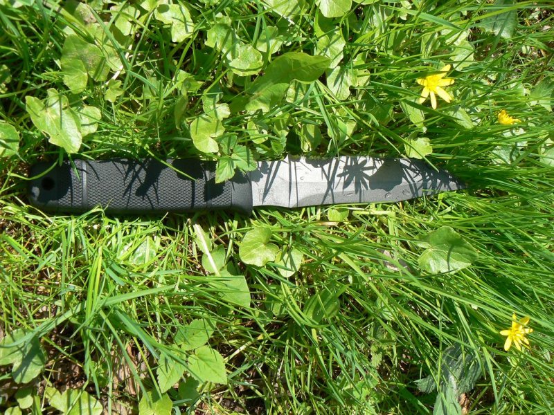 Sogs2000 04.jpg(205 kb)